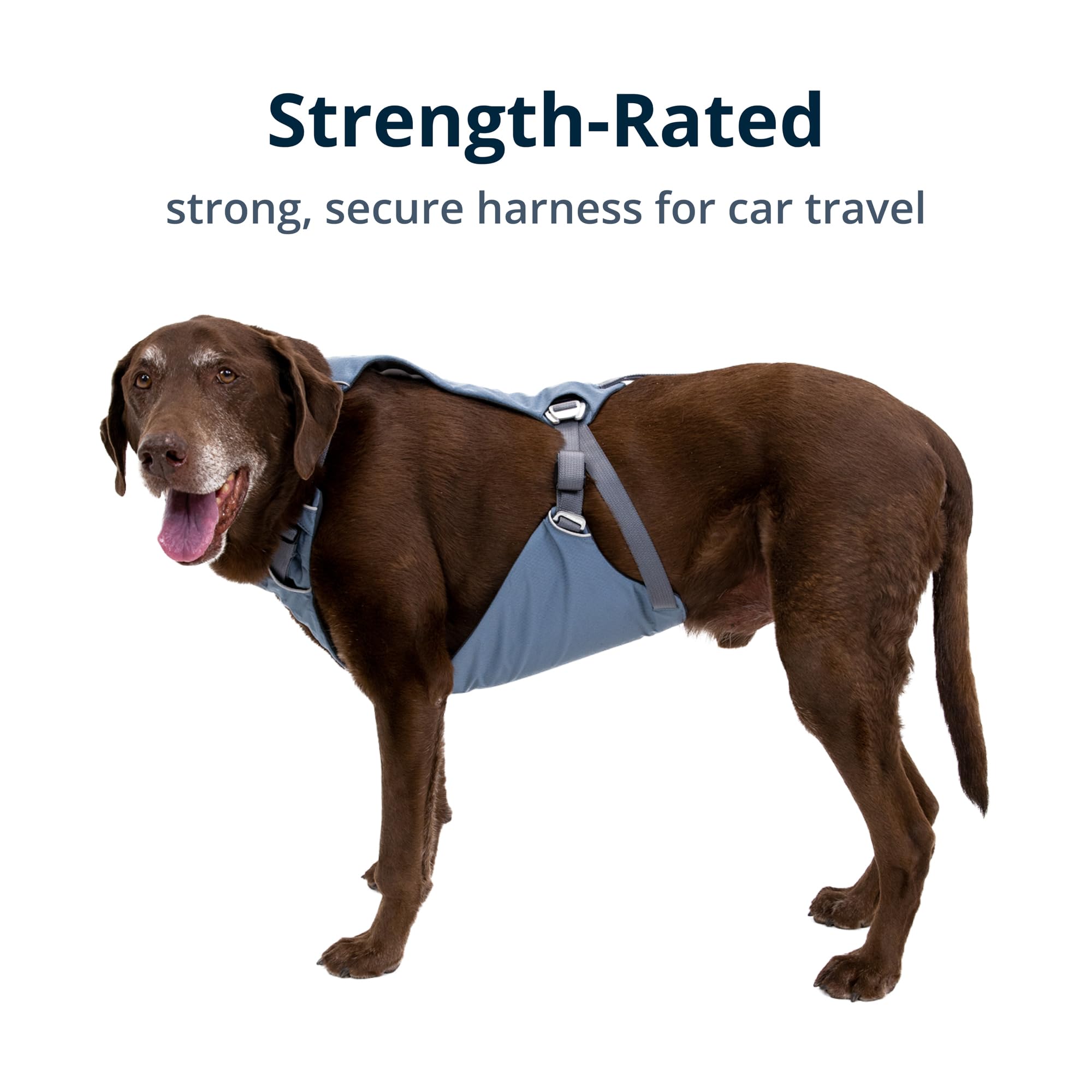 Ruffwear Load Up Geschirr