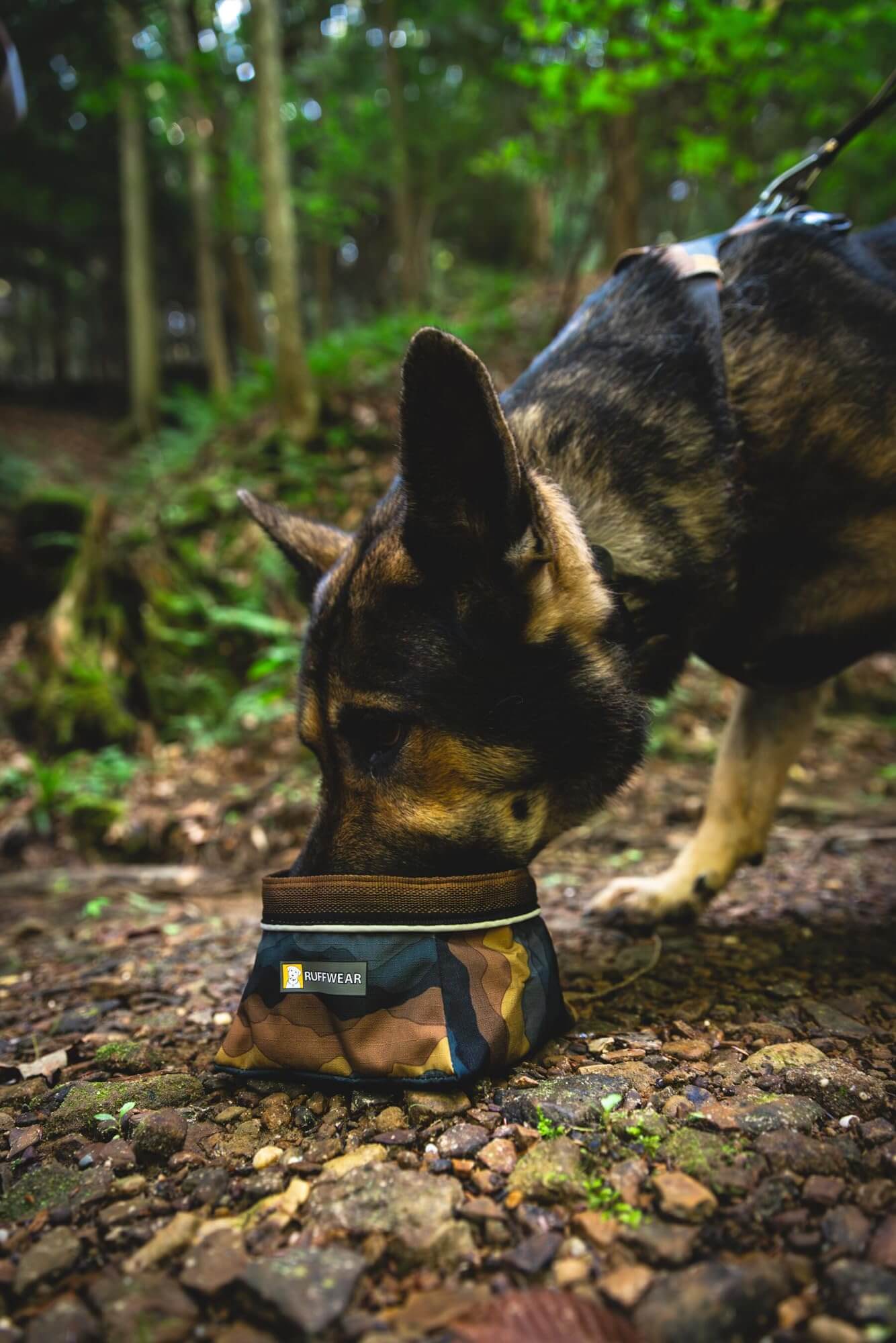 Ruffwear Front Range-Halsband