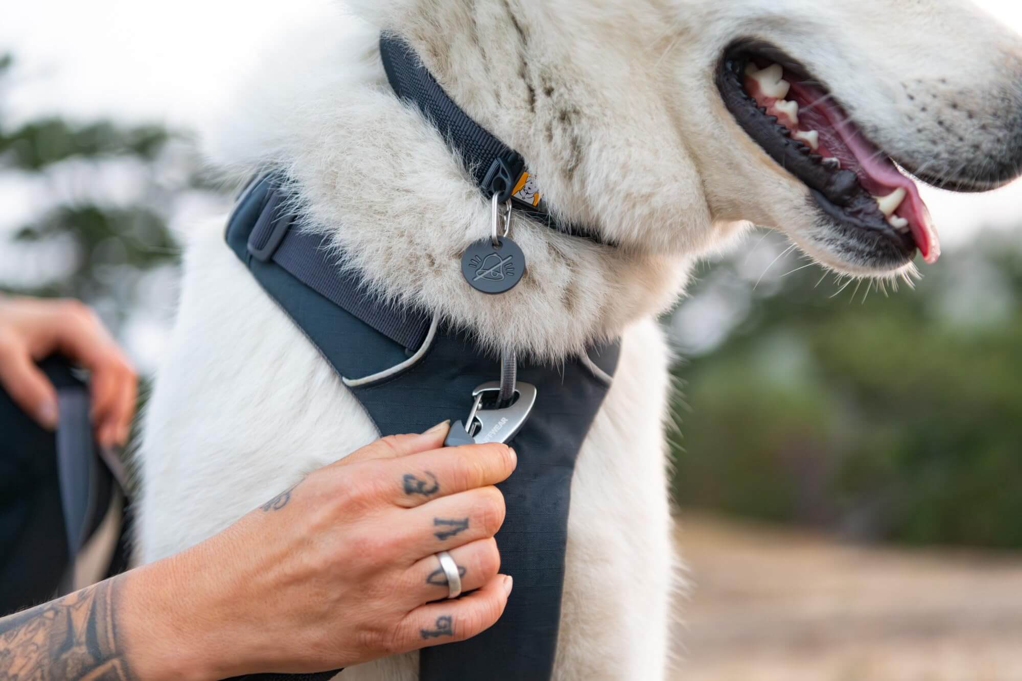 Ruffwear Front Range-Halsband