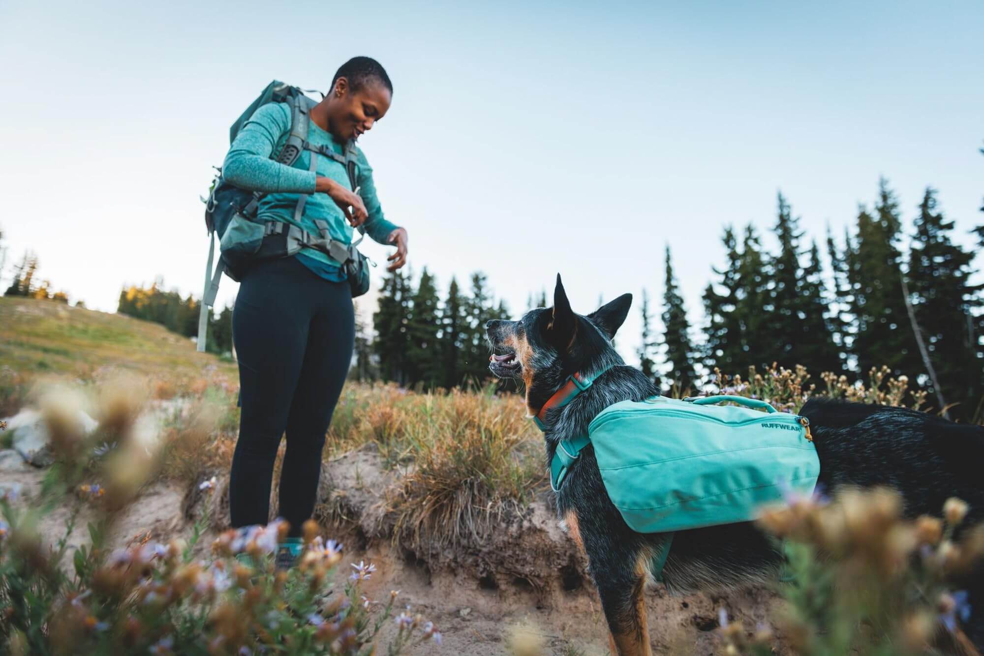 Ruffwear Front Range-Halsband