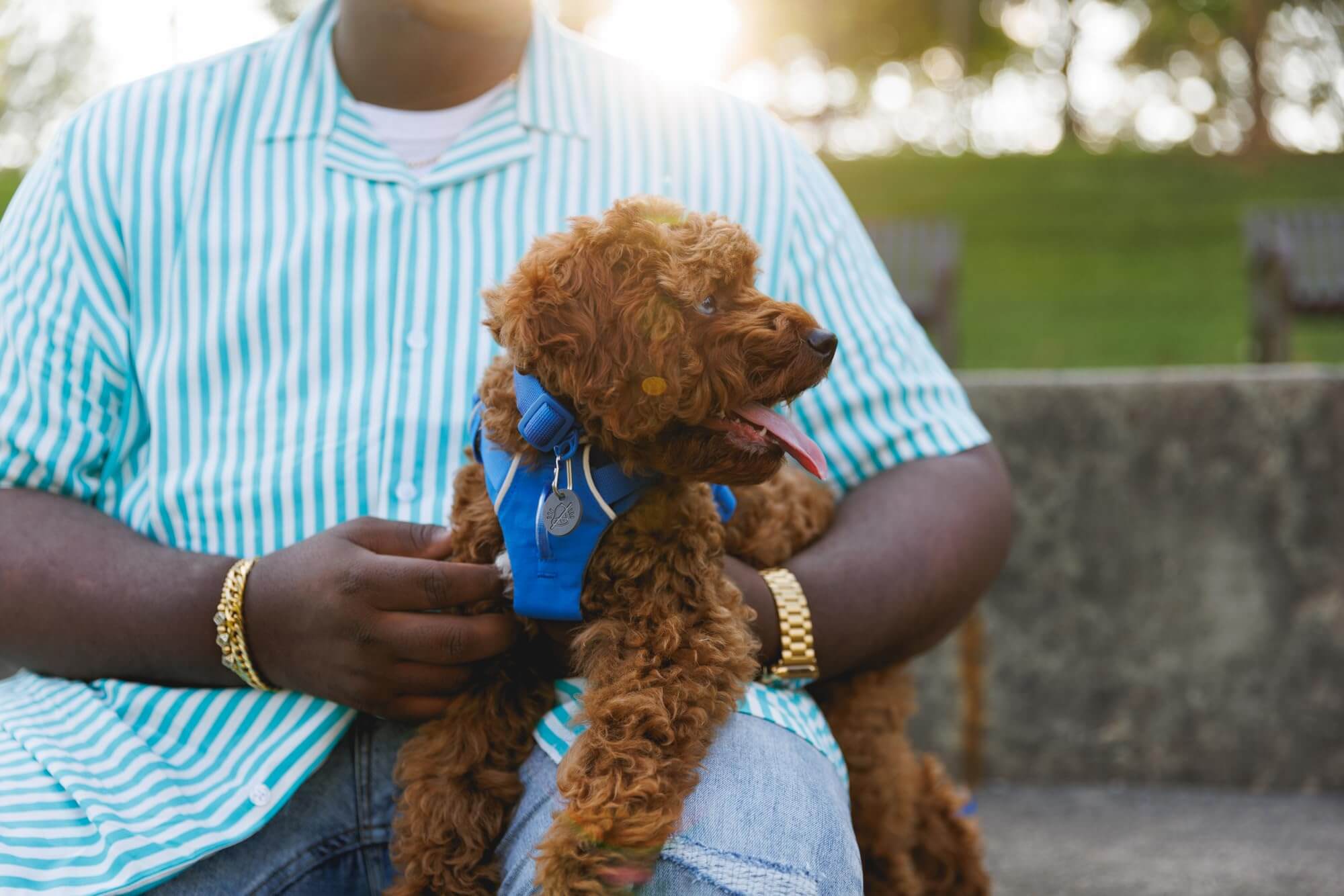 Ruffwear Front Range-Halsband